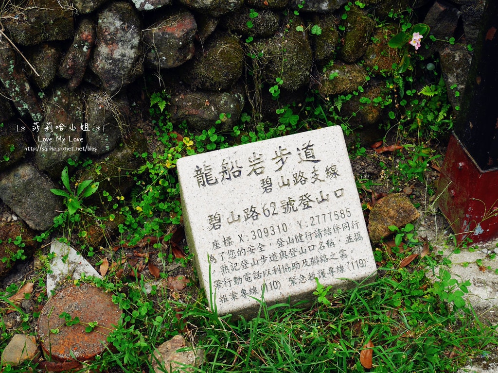 20250524-4o05p