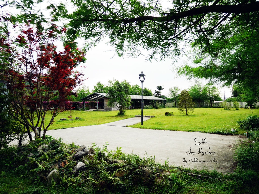 20250524-fy8lu