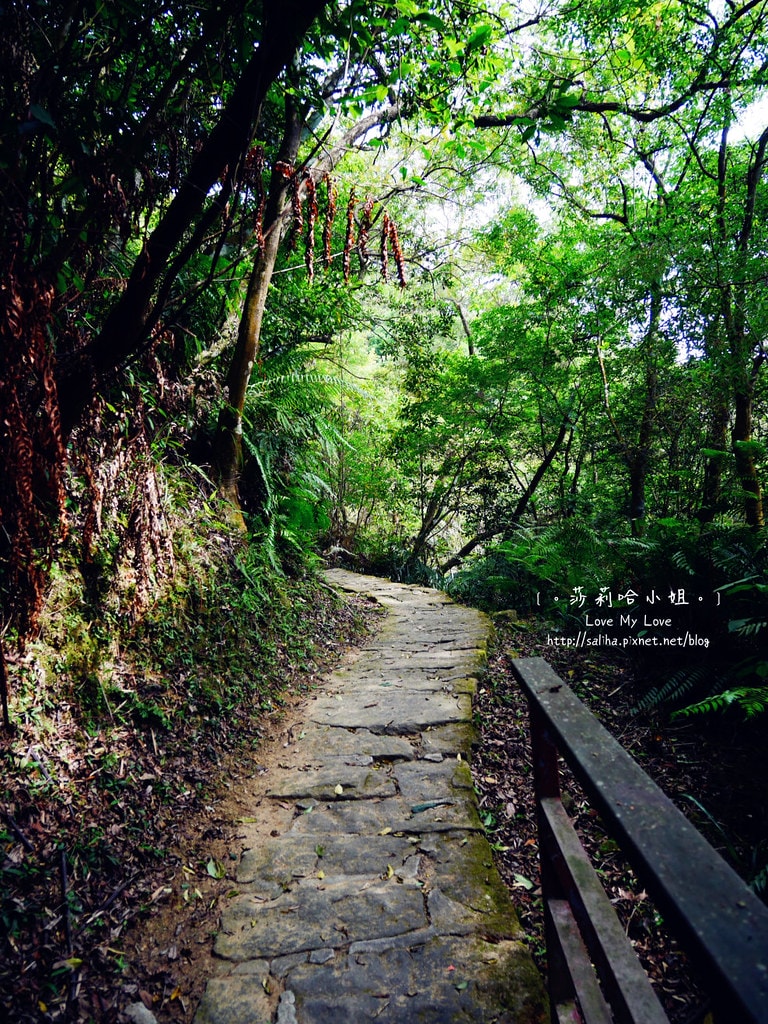 20250524-l2qq0