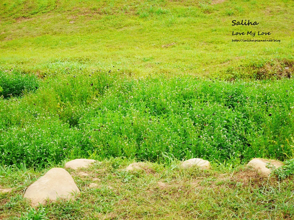 20250524-if6hy
