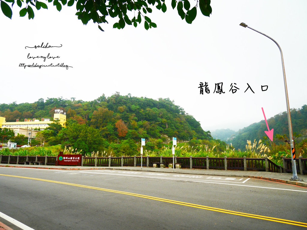 20250524-ltper
