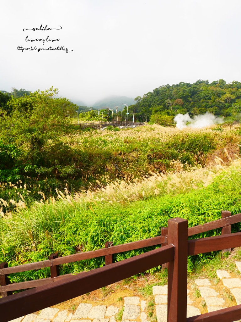 20250524-ou5xg