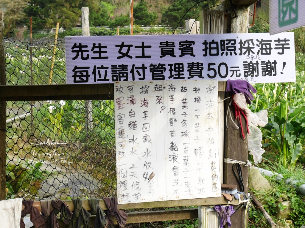 20250524-gow3i