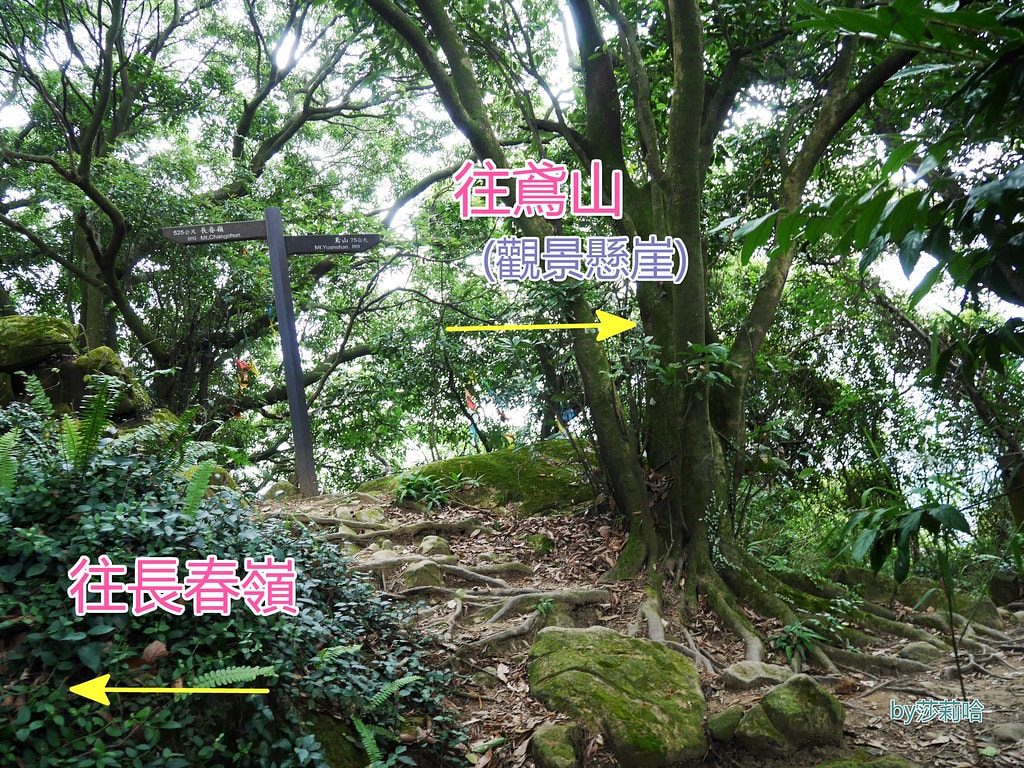 20250524-dlz15