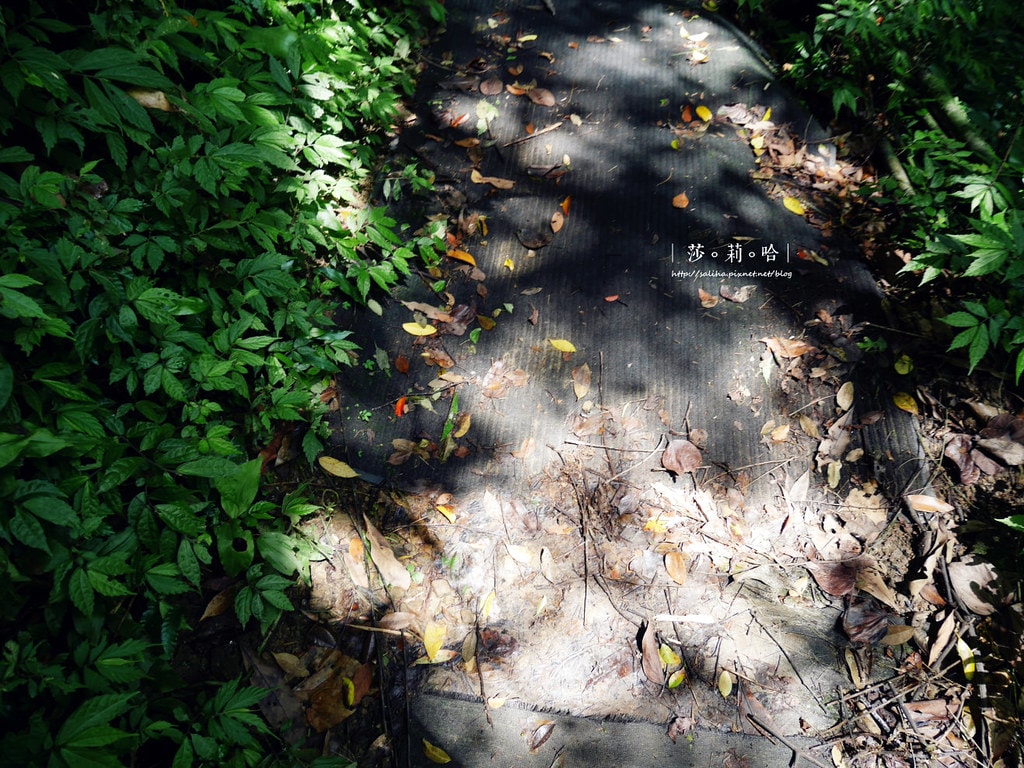 20250524-9sg84