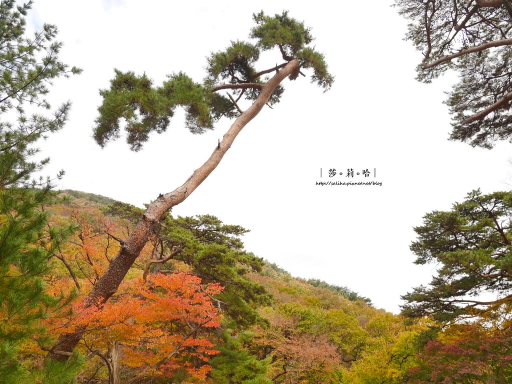 20250524-ywuu5