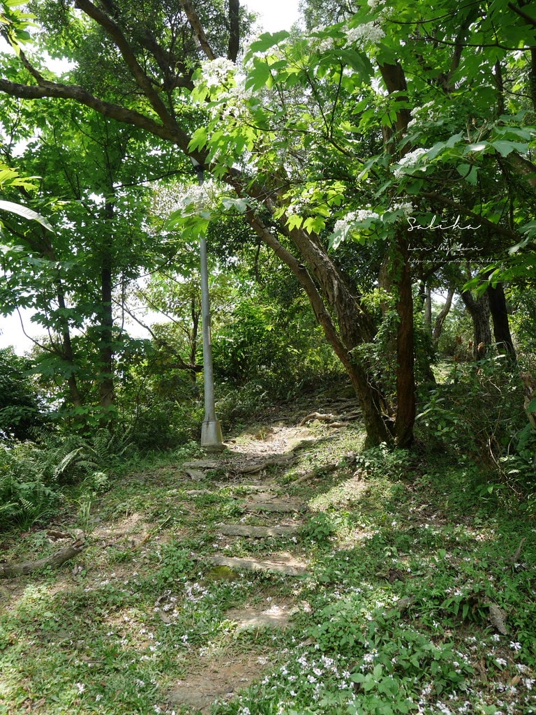 20250524-rcda2