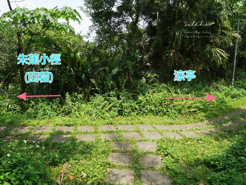 20250524-uv9gd