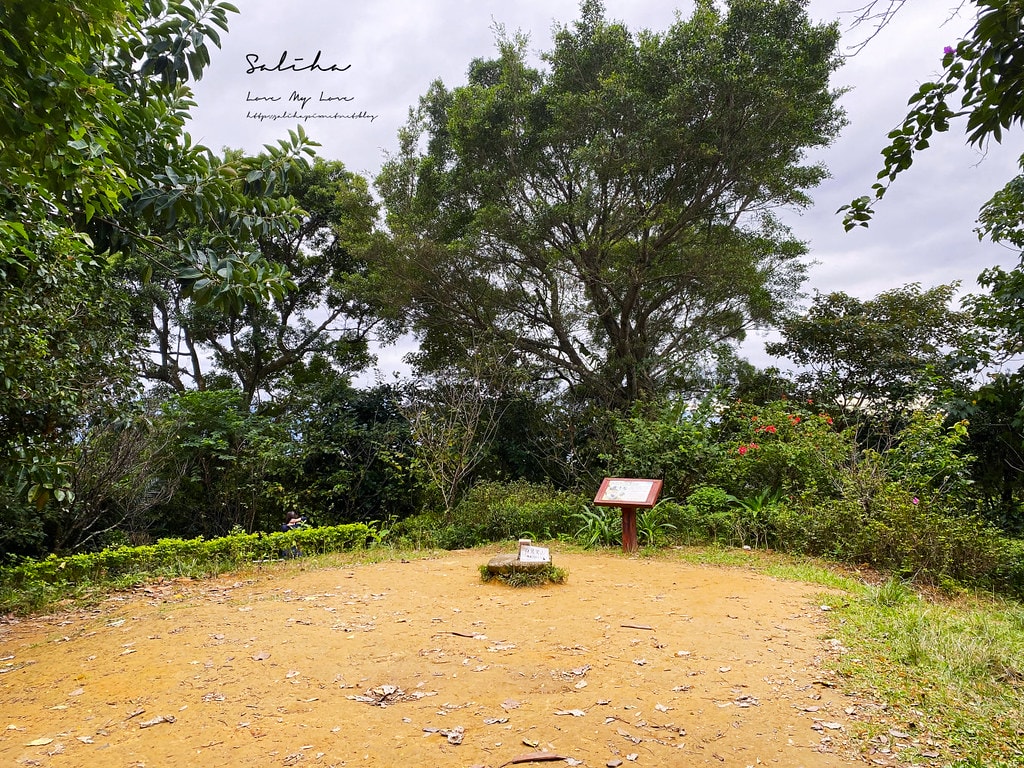 20250524-1f6tp