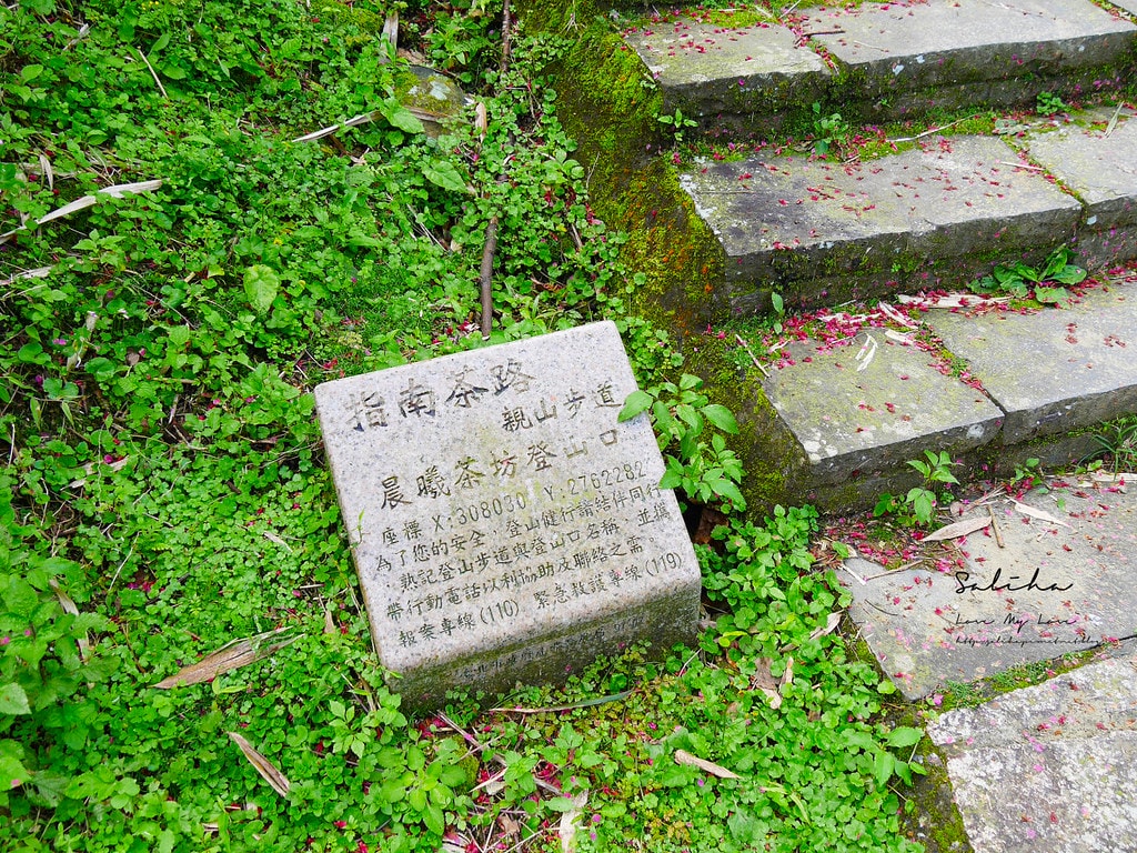 20250524-g99e7