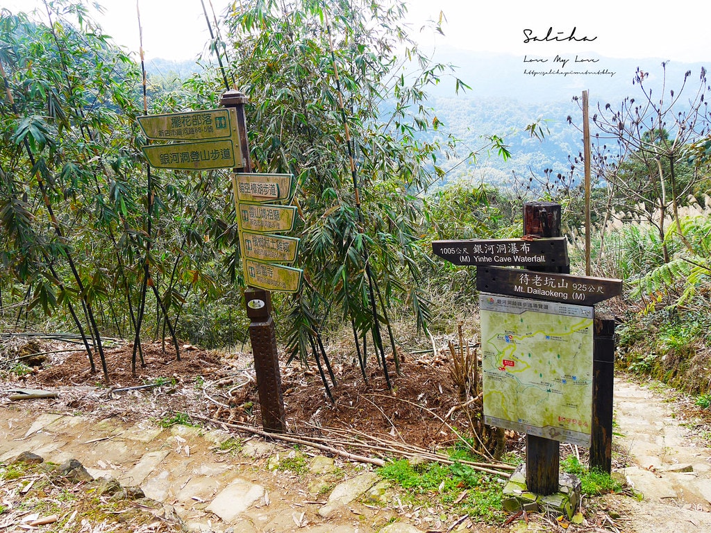 20250524-wdgs2