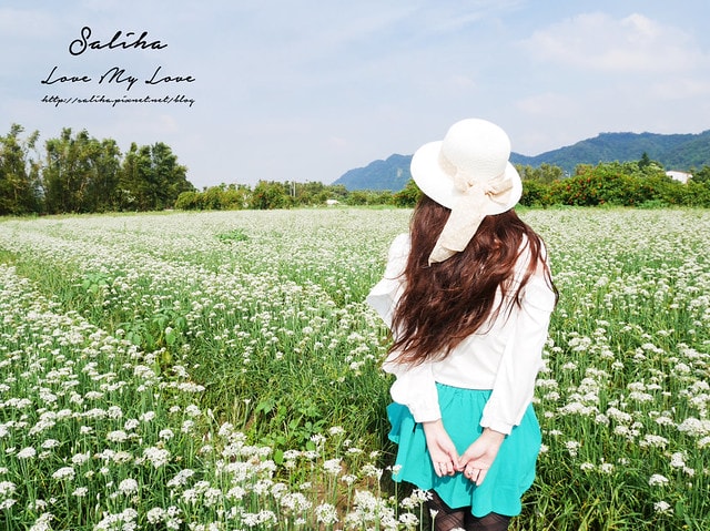 20250524-p5s3f