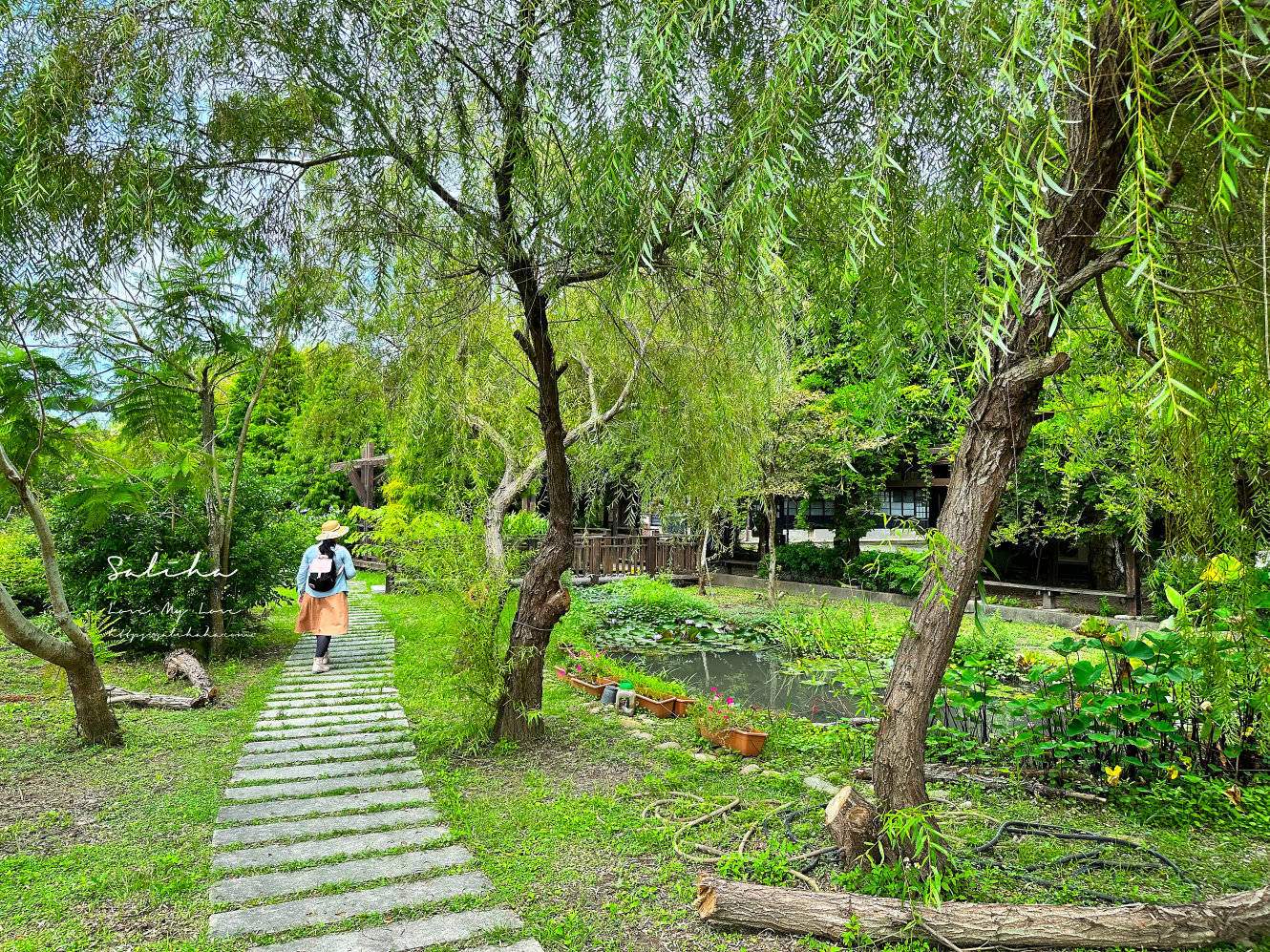 苗栗苑裡景點山腳國小好拍日式建築苑裡一日遊 (12)