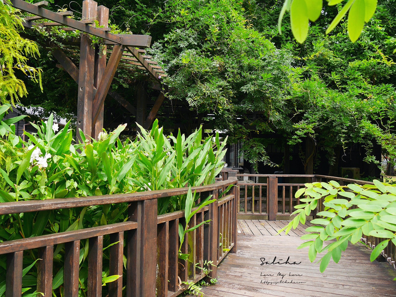 苗栗苑裡景點山腳國小好拍日式建築苑裡一日遊 (14)