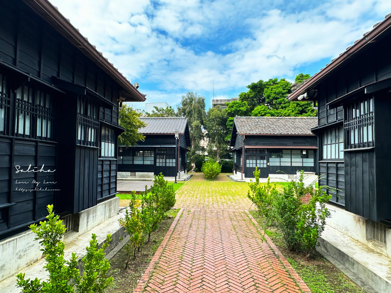苗栗苑裡景點山腳國小好拍日式建築苑裡一日遊 (7)