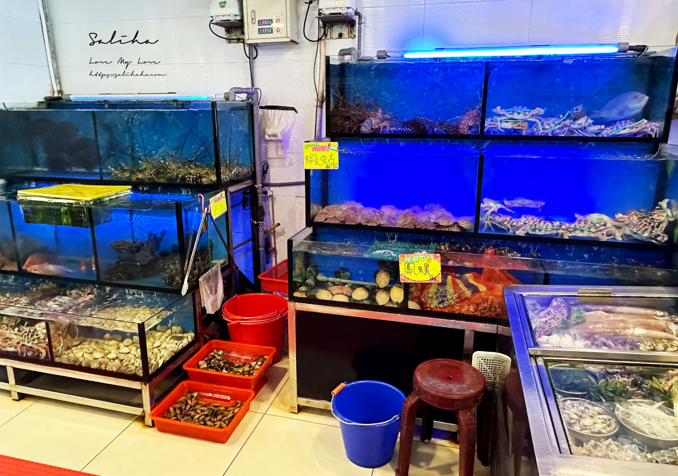 萬里海鮮餐廳龜吼漁港平價海鮮餐廳萬里超美海景觀餐廳推薦珍鼎豐海鮮景觀餐廳 (5)