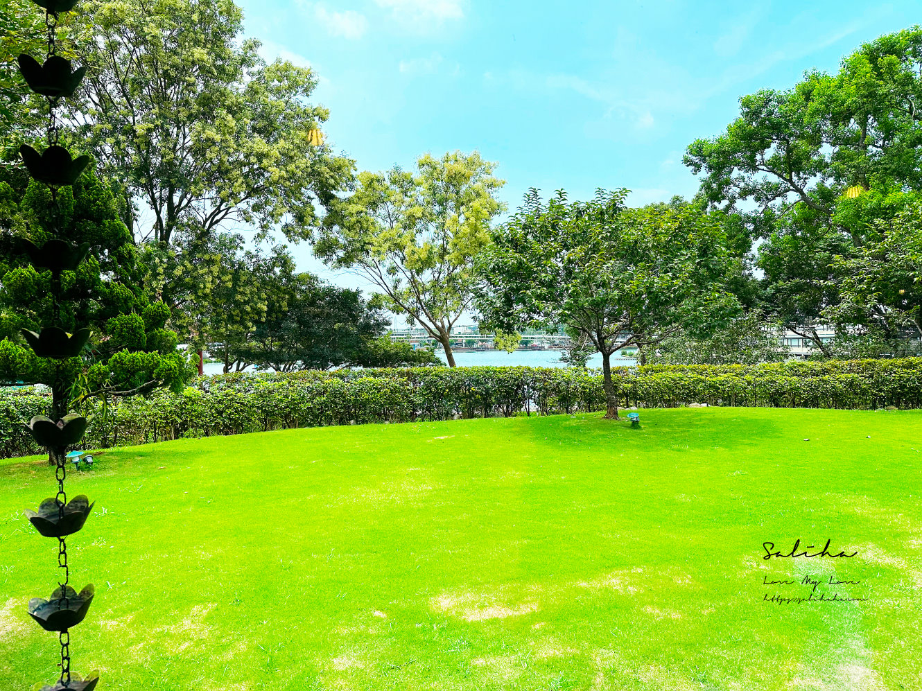 桃園景觀餐廳推薦the畔cafe約會聚餐有包廂父親節母親節餐廳 (2)