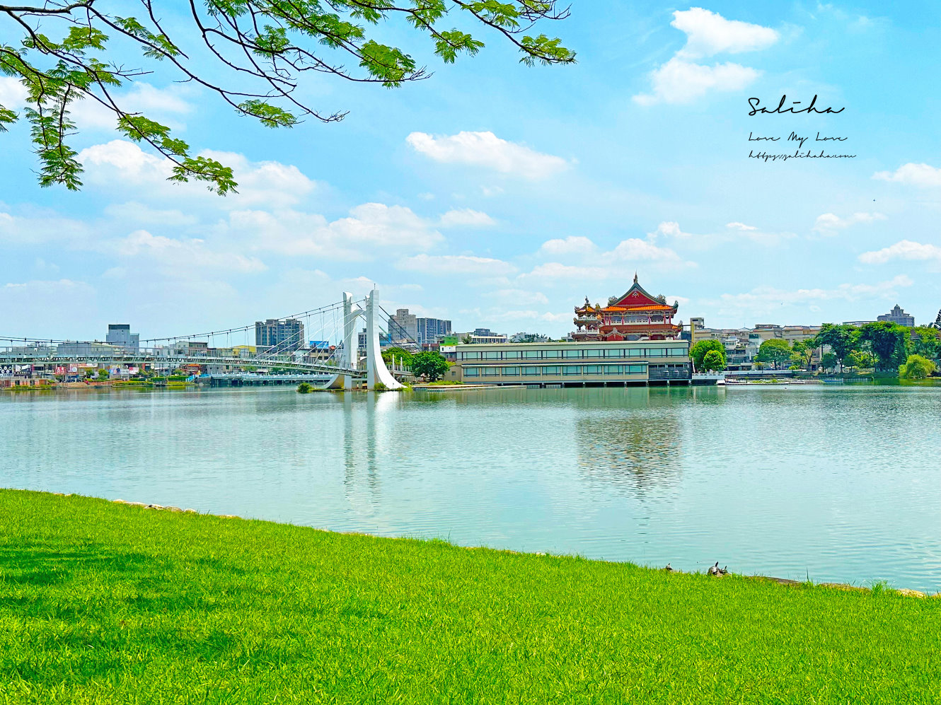 桃園親子景點嬰兒車景點免門票公園戲水池 (2)