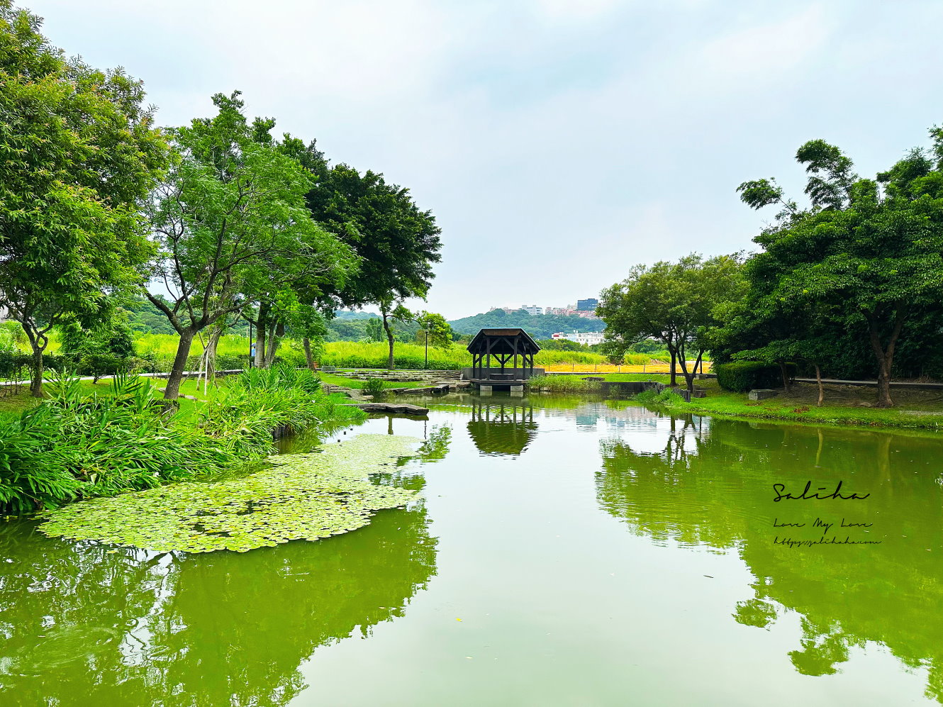 桃園親子景點嬰兒車景點免門票公園戲水池 (8)
