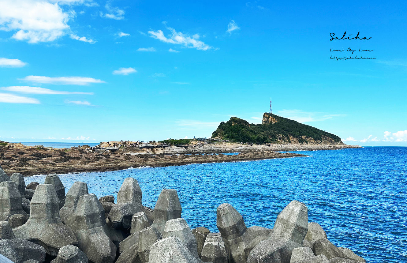 北海岸一日遊野柳萬里景點 (3)