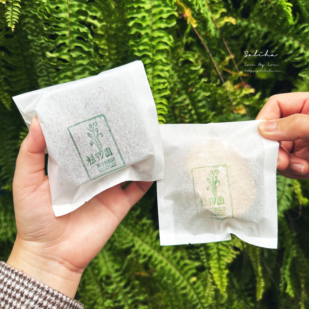 台北點心店植物園烘焙甜點店 albuca dessert泰順店好吃布朗尼達克瓦茲 (1)