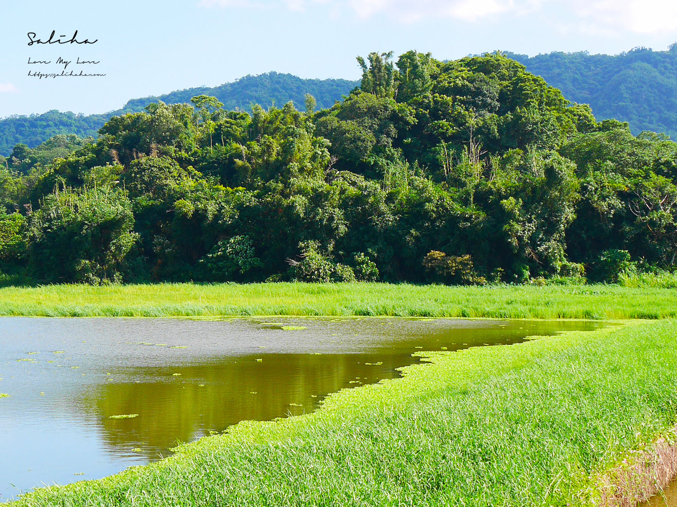 台北昆陽站景點新庄仔埤賞鳥平台 (5)