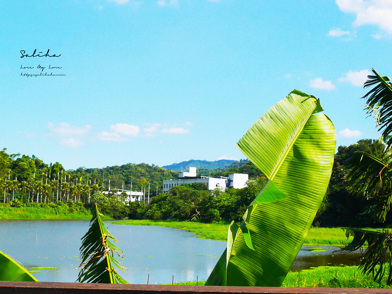 台北昆陽站景點新庄仔埤賞鳥平台 (7)