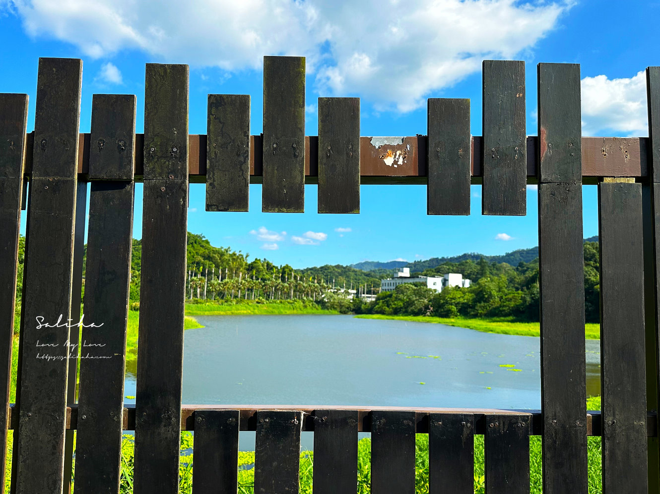 台北踏青南港景點新庄仔埤賞鳥平台 (4)