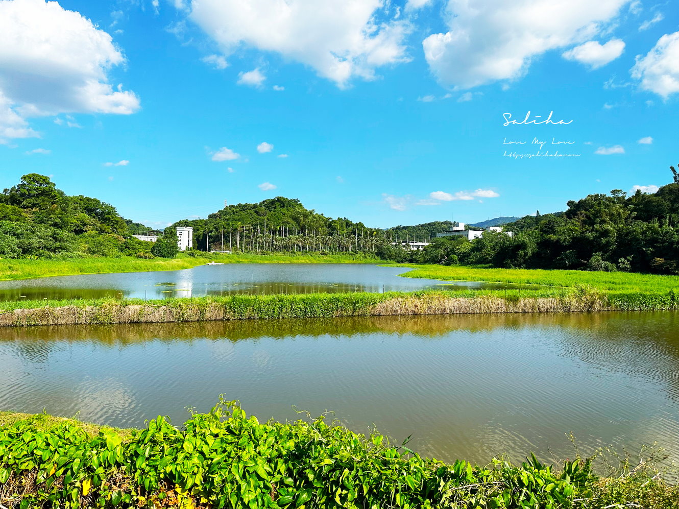 台北踏青南港景點新庄仔埤賞鳥平台 (5)