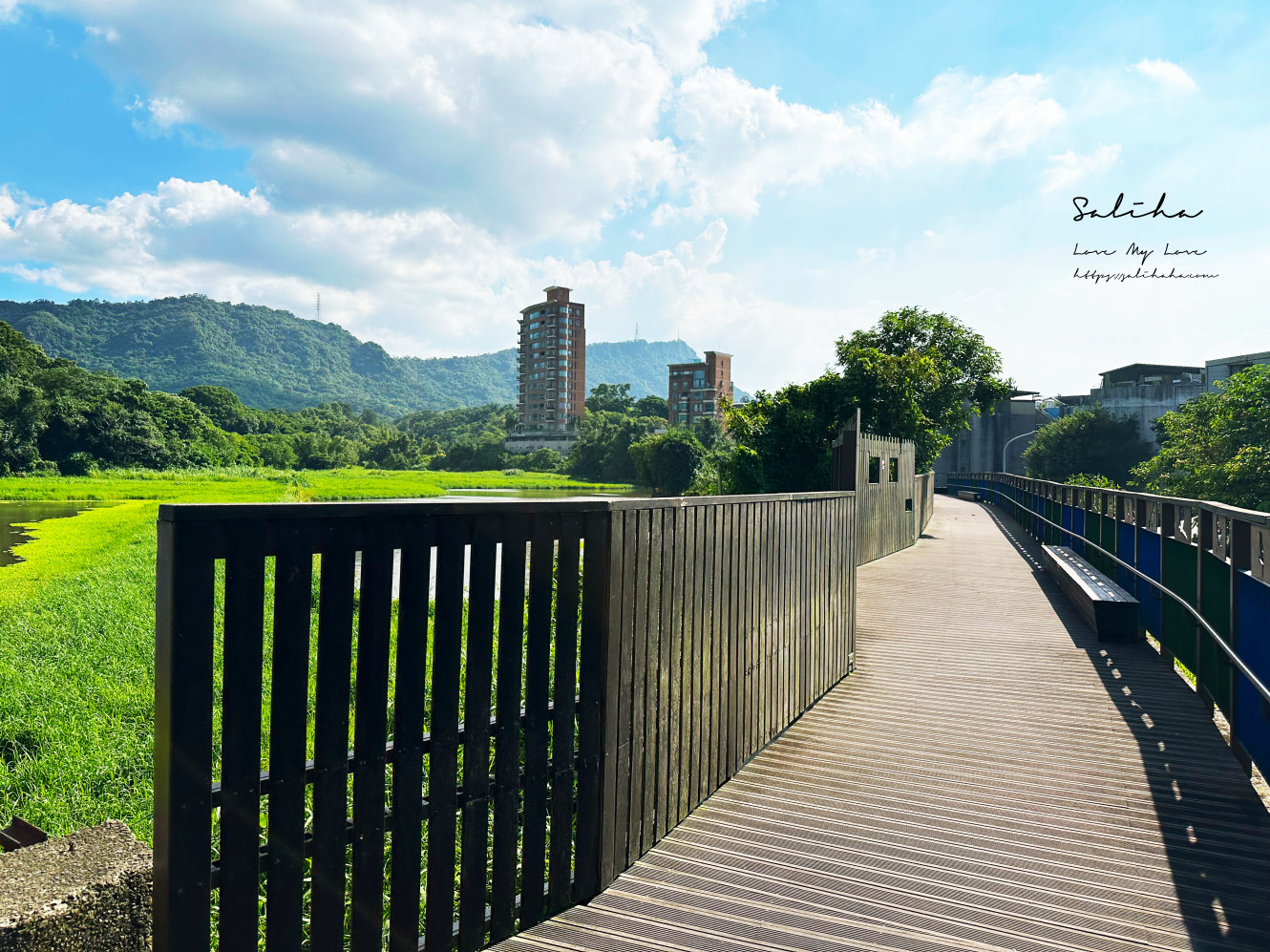 台北踏青南港景點新庄仔埤賞鳥平台 都市秘境 (1)