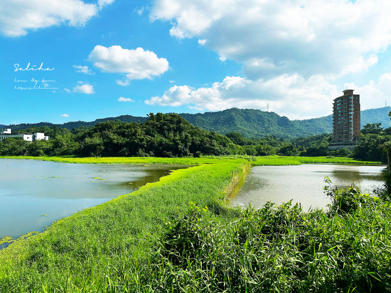 台北踏青南港景點新庄仔埤賞鳥平台 都市秘境 (2)