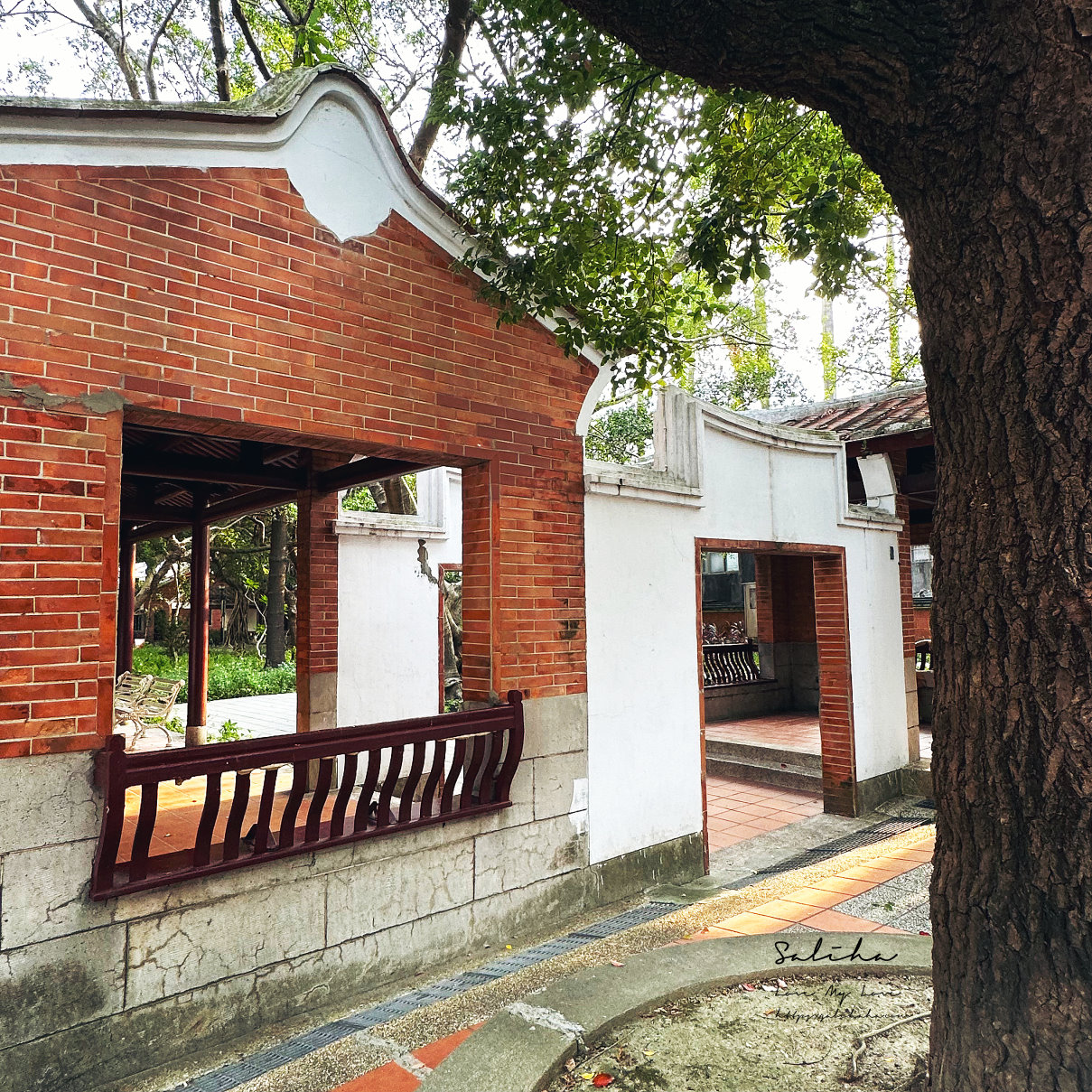 板橋景點古色古香一秒穿越的江子翠農村公園 (4)