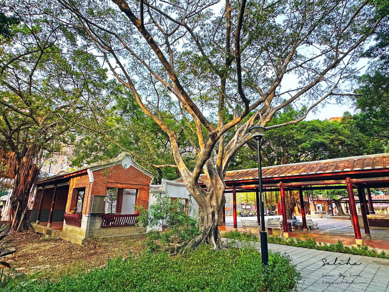 板橋景點古色古香一秒穿越的江子翠農村公園 (5)