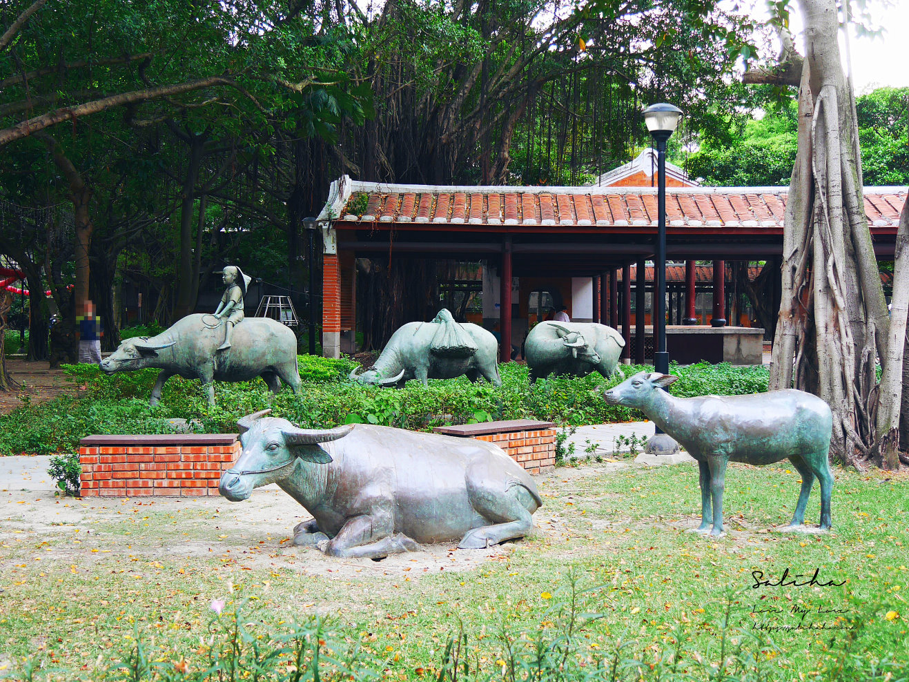 板橋景點古色古香一秒穿越的江子翠農村公園 (9)
