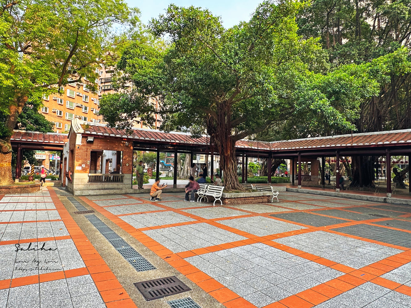 江子翠站景點古色古香一秒穿越的板橋農村公園 (1)