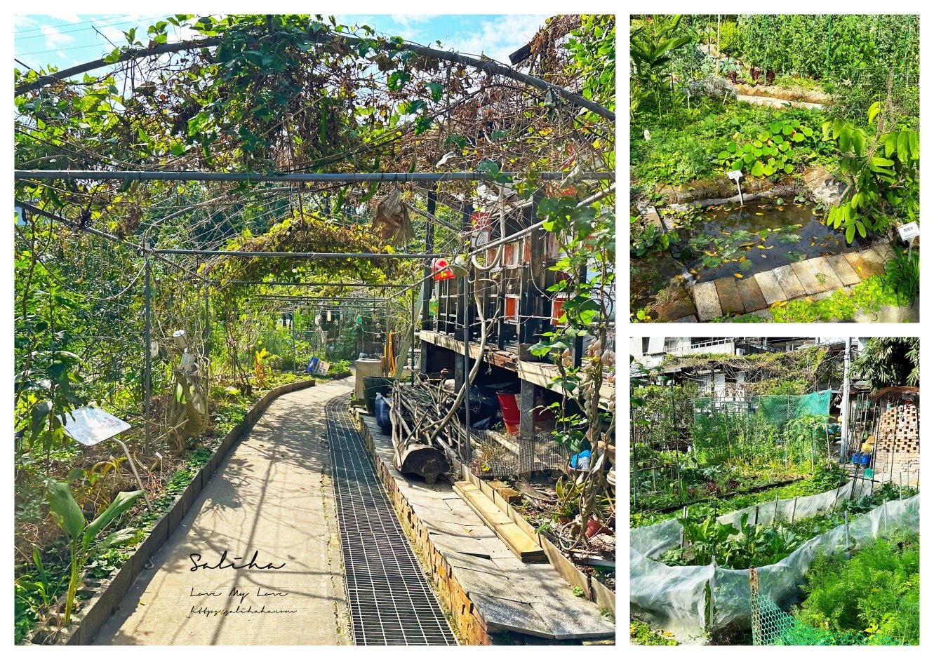 【台北公館】寶藏巖國際藝術村-再訪!仿若遺世獨立的文青景點,美食x嬰兒車路線分享