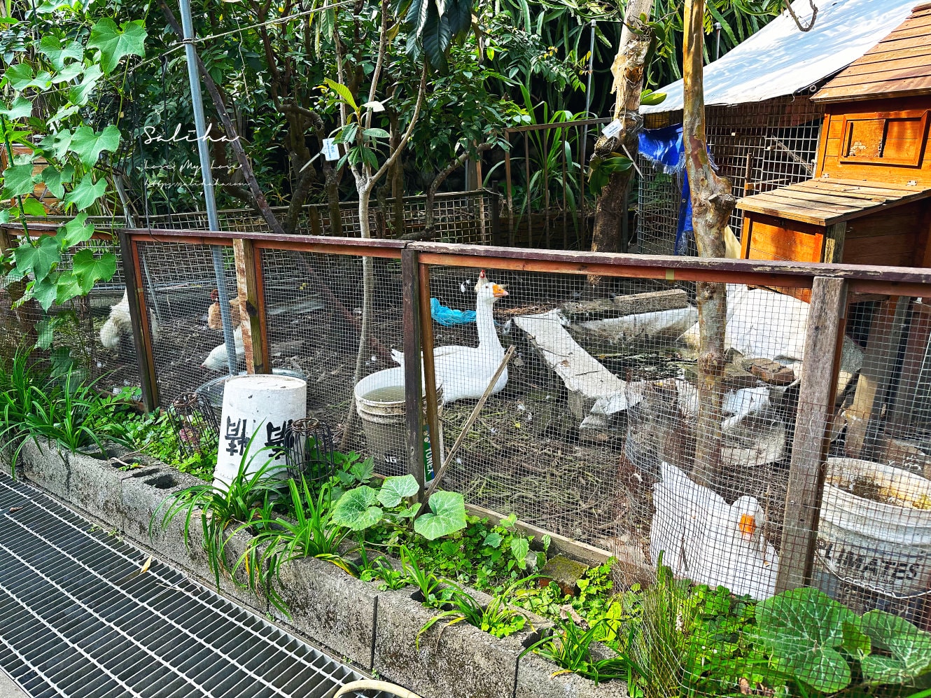 【台北公館】寶藏巖國際藝術村-再訪!仿若遺世獨立的文青景點,美食x嬰兒車路線分享