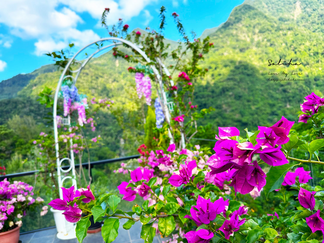 【新北】山景餐廳-超美!坐著吃熱炒就能被群巒環抱的景觀餐廳,菜單