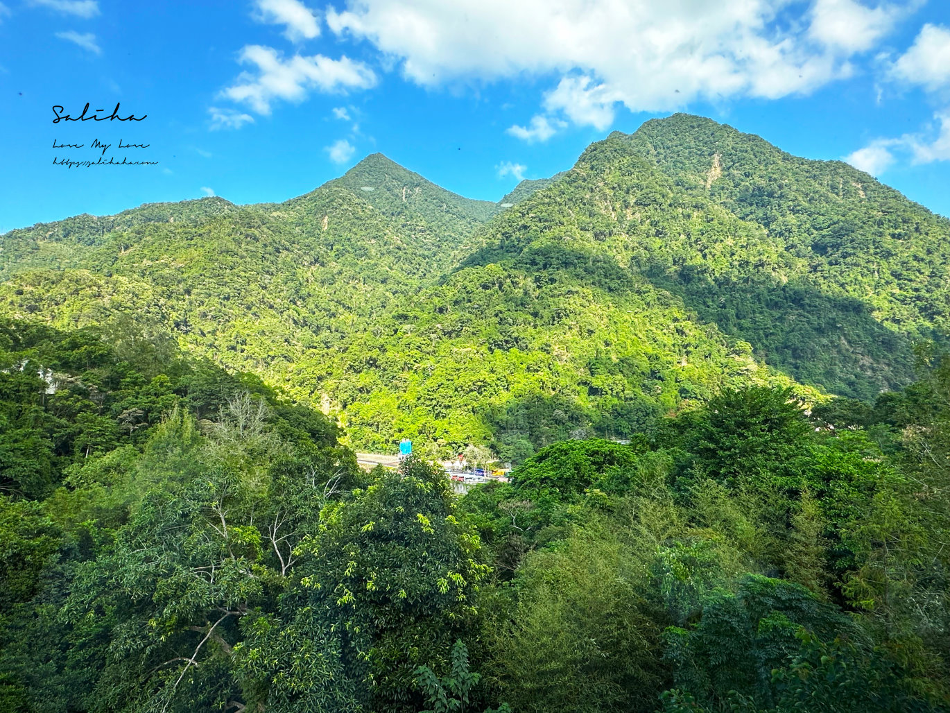 【新北】山景餐廳-超美!坐著吃熱炒就能被群巒環抱的景觀餐廳,菜單