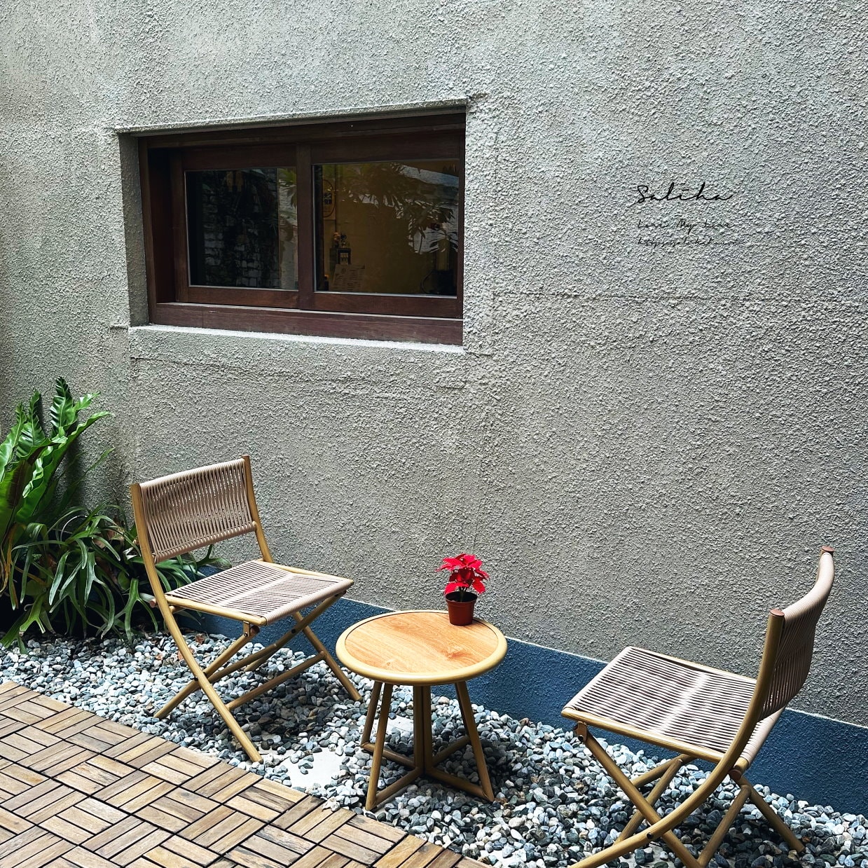 【西門町】巷日咖啡-隱世感老宅庭院咖啡廳,美味千層x提拉米蘇!菜單