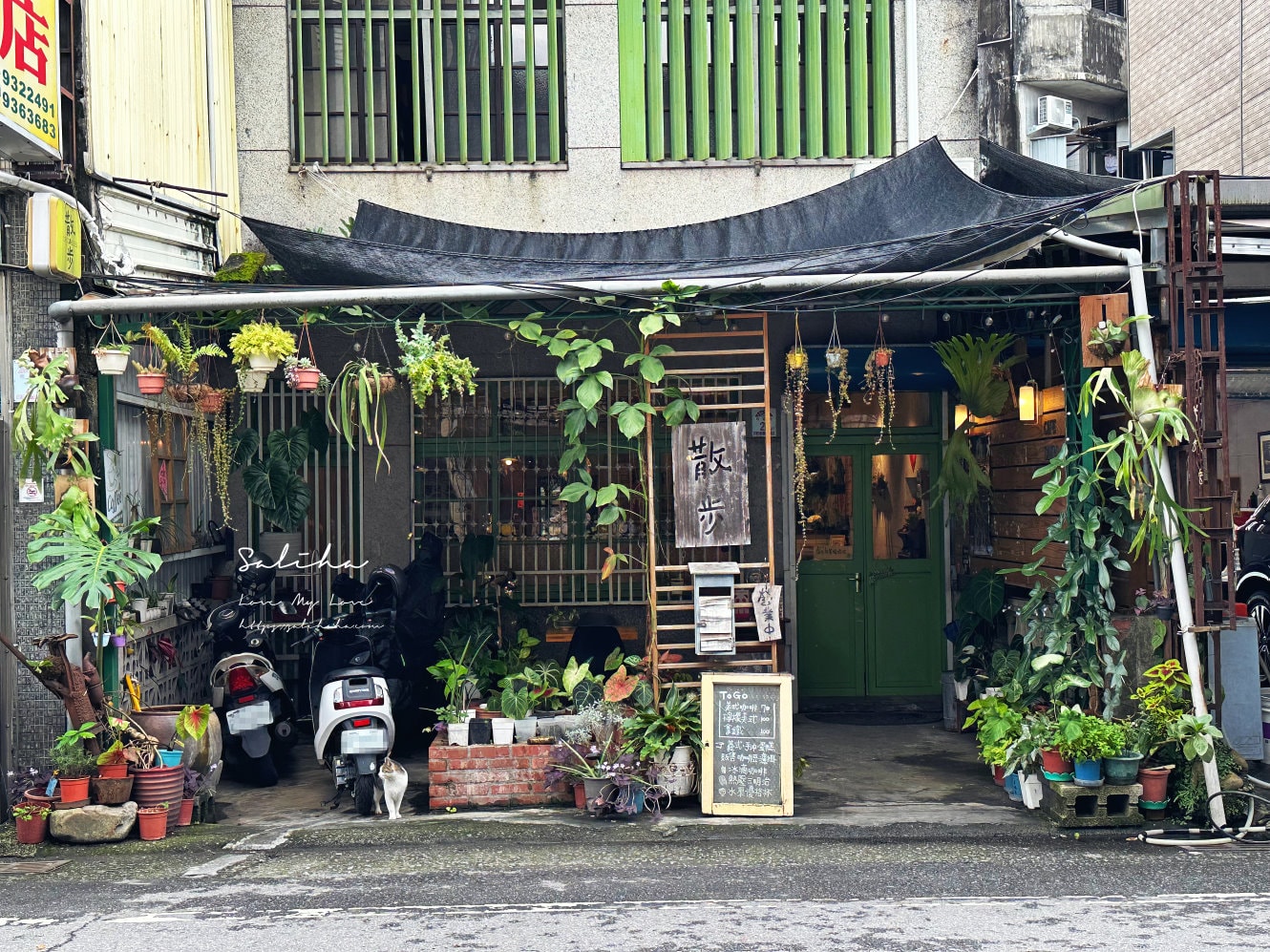 【宜蘭咖啡廳】散步Cafe Sanpo-不只是古董風老屋!與大人系布丁完美邂逅,菜單