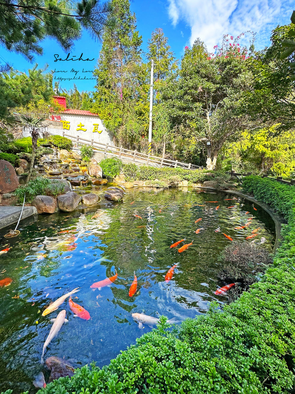 桃園龍潭【山水緣庭園景觀餐廳】雞油拌飯免費吃!強推綠茶刈包,山林裡的超人氣客家美食,菜單 - 第13張圖 桃園龍潭【山水緣庭園景觀餐廳】雞油拌飯免費吃!強推綠茶刈包,山林裡的超人氣客家美食,菜單