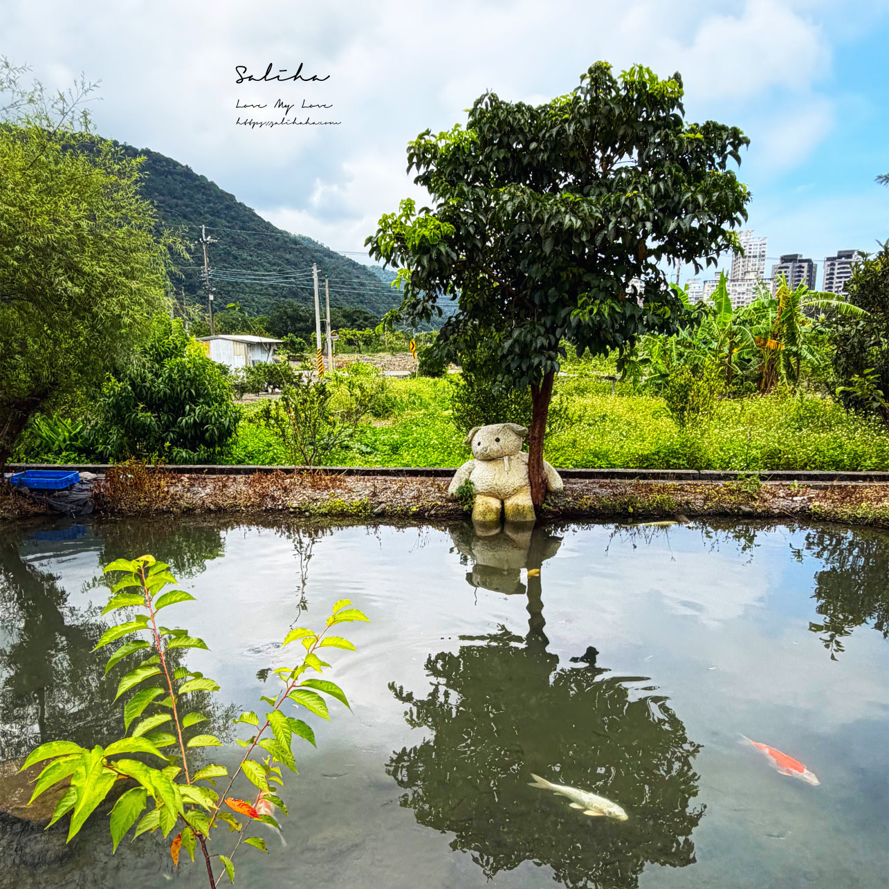 宜蘭礁溪美食【抹茶山下】可愛爆擊!超浮誇創意甜點,田野間玻璃屋咖啡廳(菜單/免費停車場) - 第34張圖 宜蘭礁溪美食【抹茶山下】可愛爆擊!超浮誇創意甜點,田野間玻璃屋咖啡廳(菜單/免費停車場)
